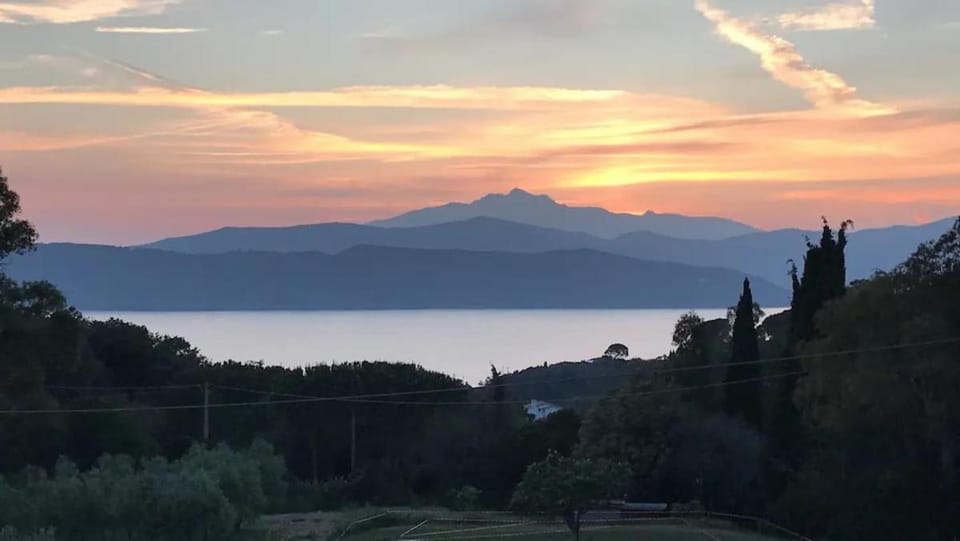 Villa del sole 2 Apartment in Capoliveri