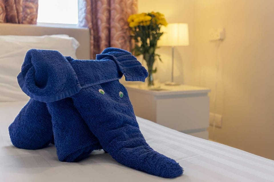 Bed, Decorative detail, Decorative detail, Bedroom, internet, internet, towels