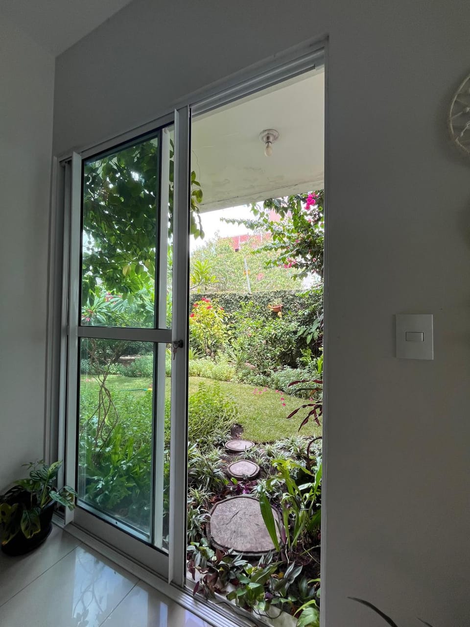 Garden view