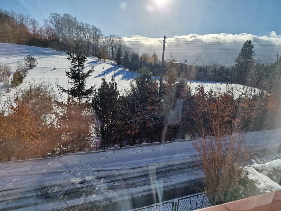 Mountain view
