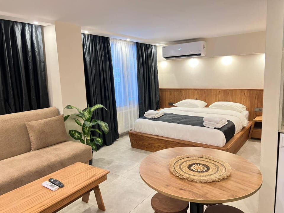 Bed, Living room, Photo of the whole room, Seating area, air conditioner