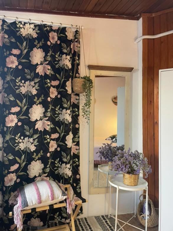 Sofia Skyros Apartment in Euboea