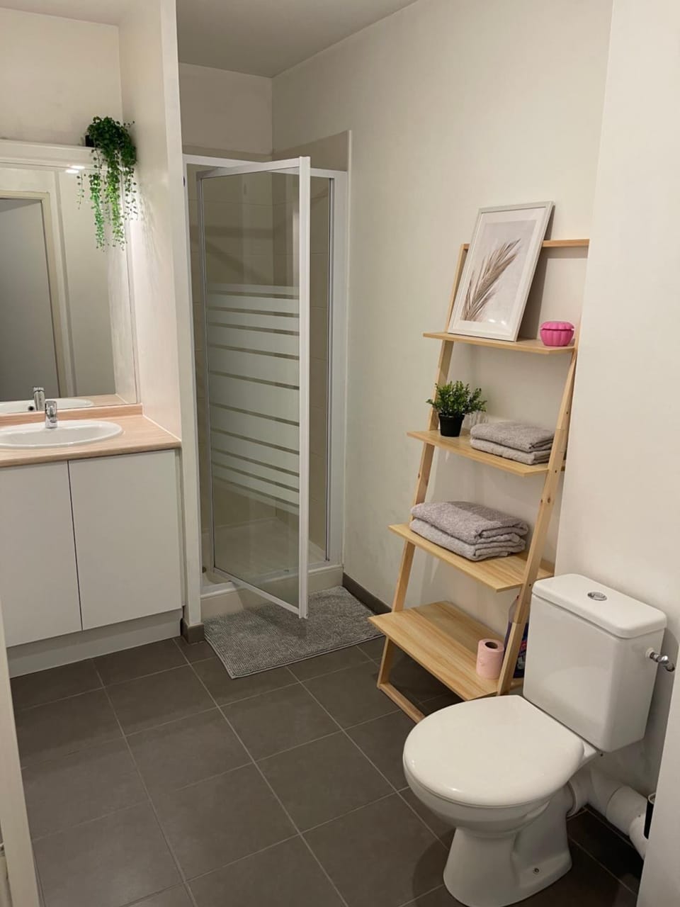 Appartement T1 Colomiers proche AIRBUS Apartment in Occitanie