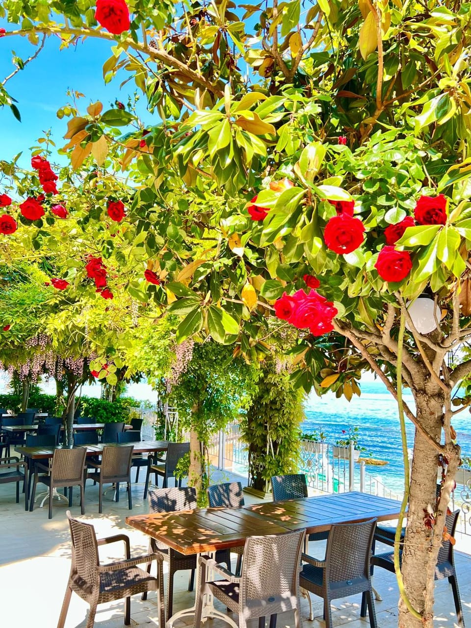 Restaurant/places to eat, Beach
