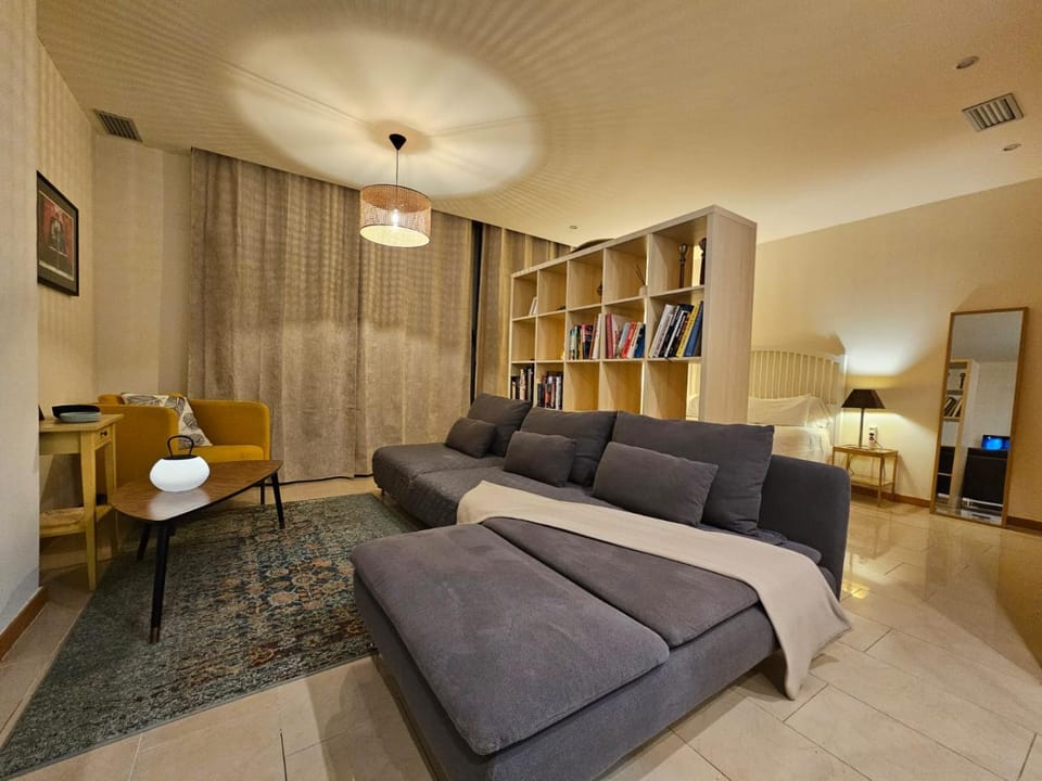 Big Terrace in private Loft on San Francisco street Apartment in Alicante