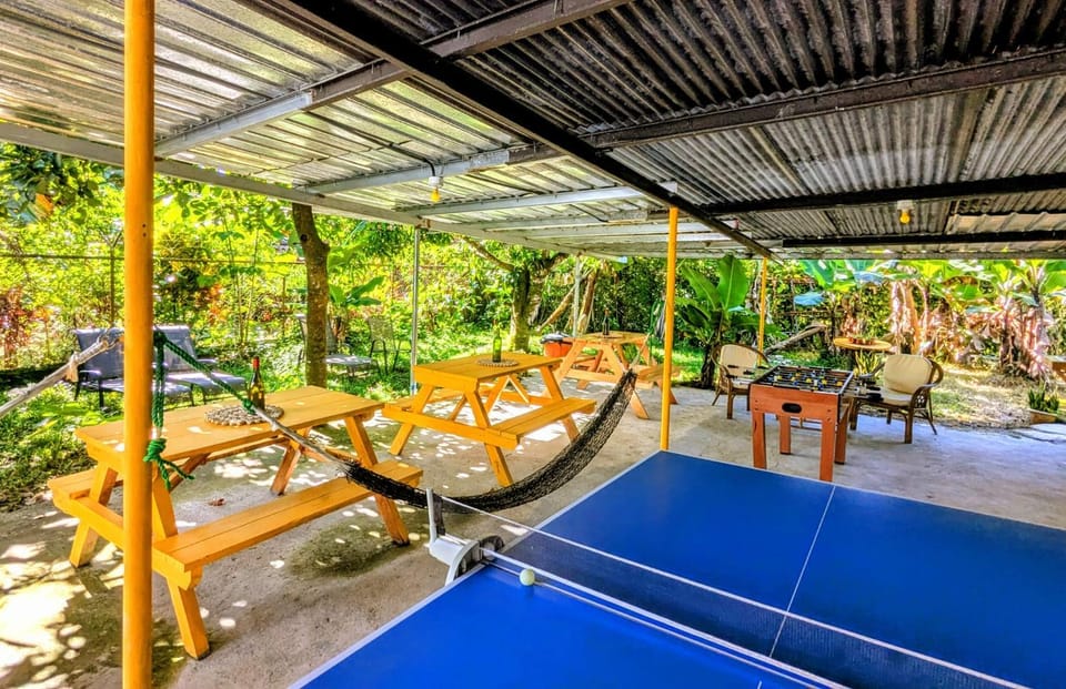 Patio, Activities, Dining area, Breakfast