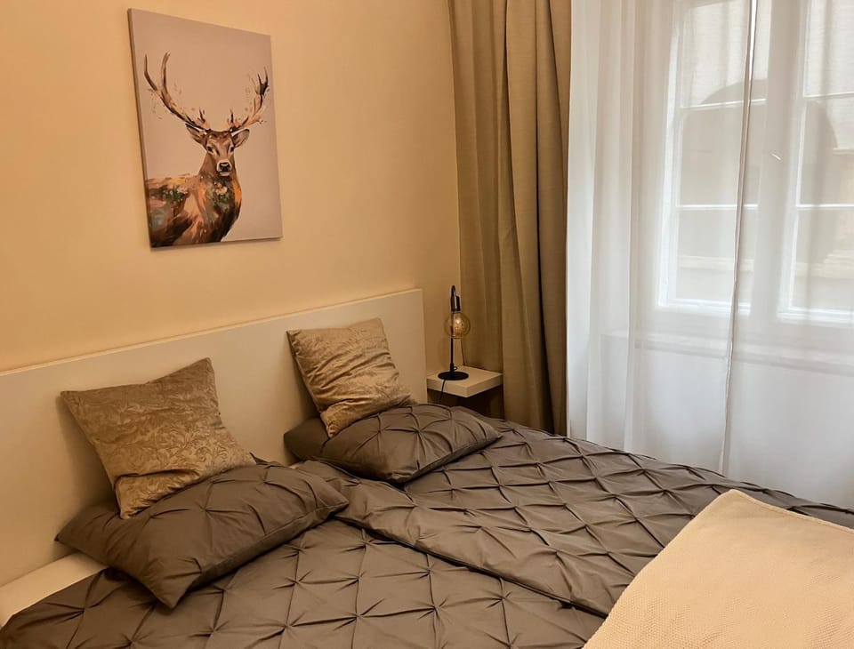 City Apartment T7 in Graz Susanne's Feelathome big Apartment in Graz