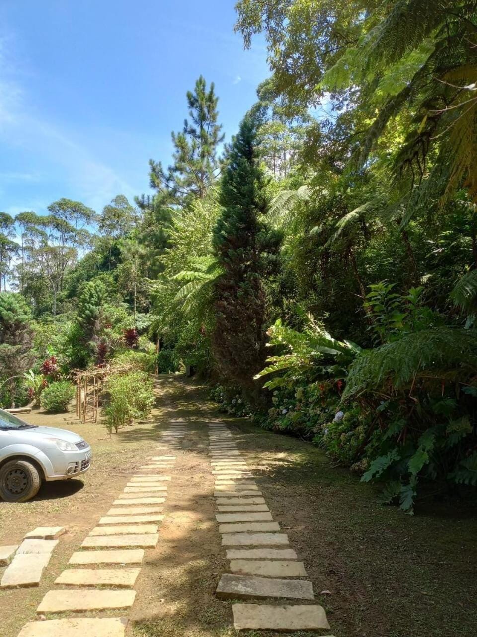 Casa aconchegante na serra House in Nova Friburgo