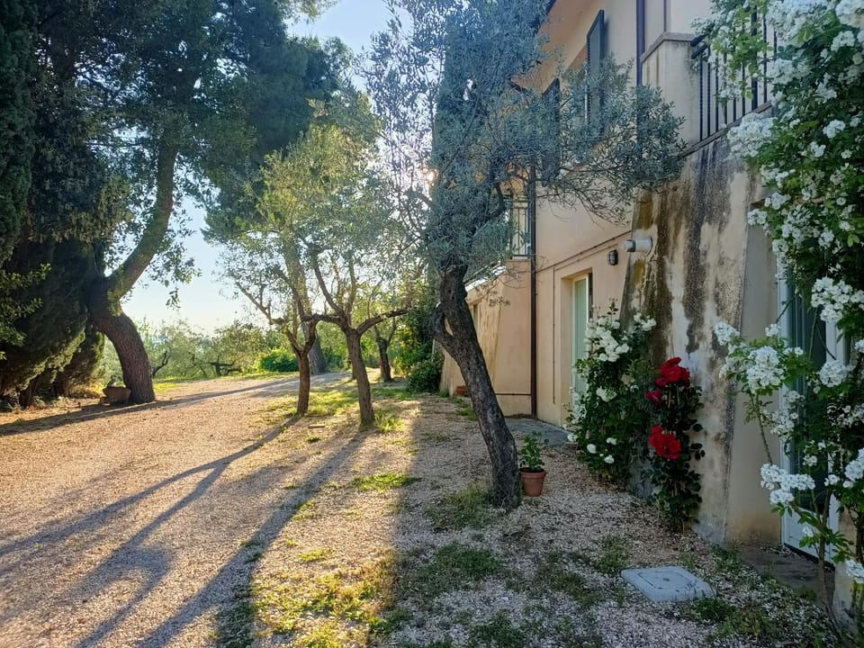 Property building, Parking