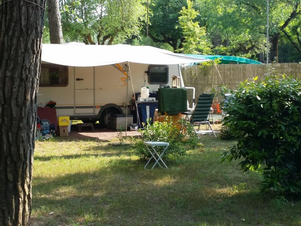 Natural landscape, Garden, Garden view