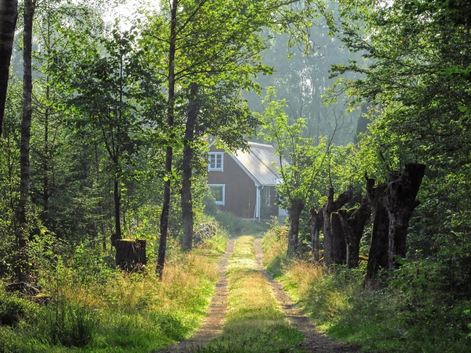 Natural landscape