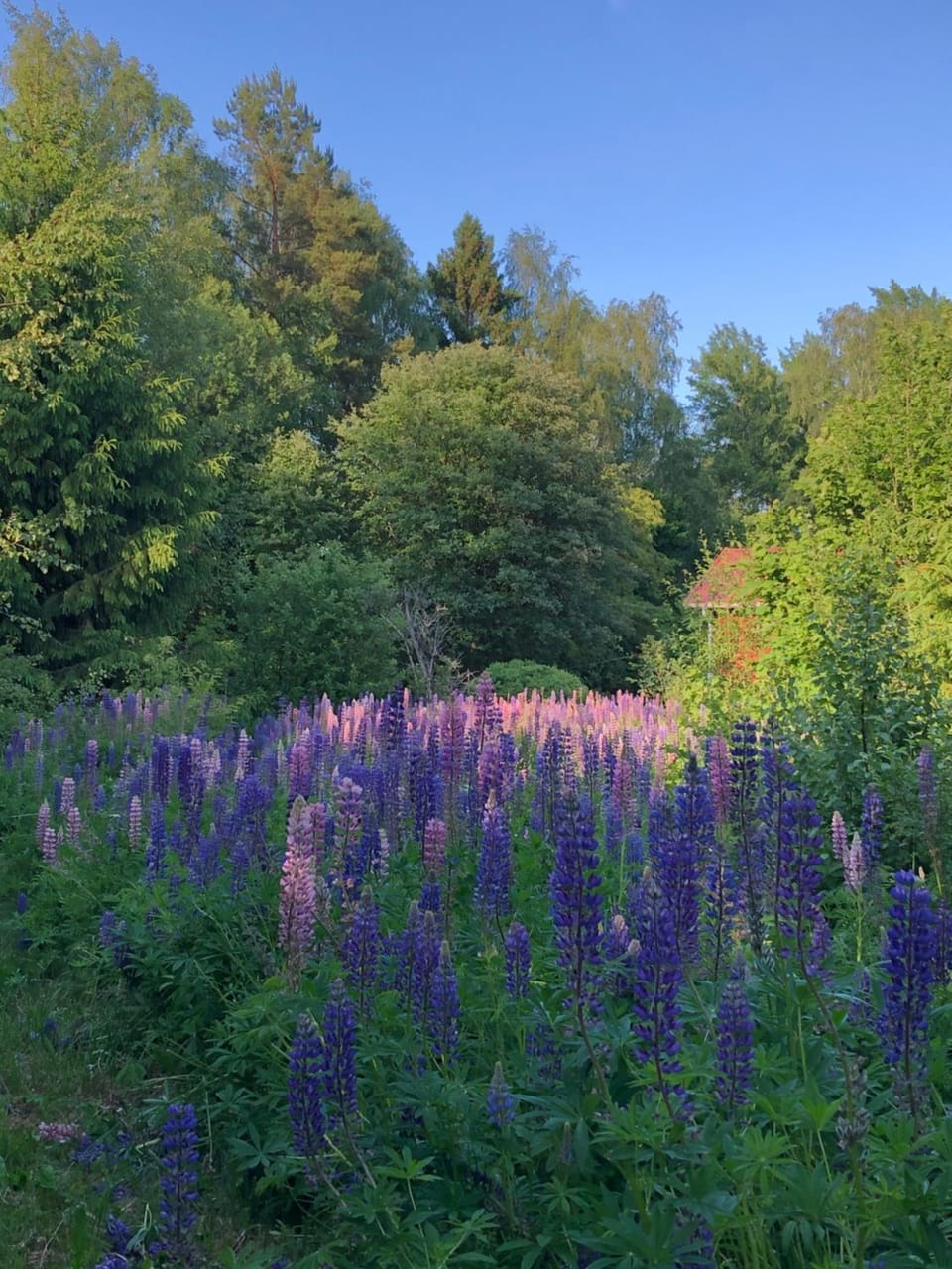 Natural landscape