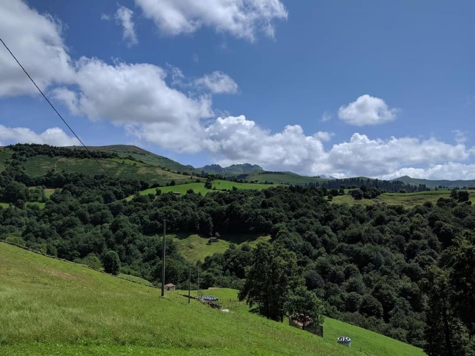 Natural landscape