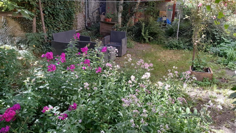 Garden view