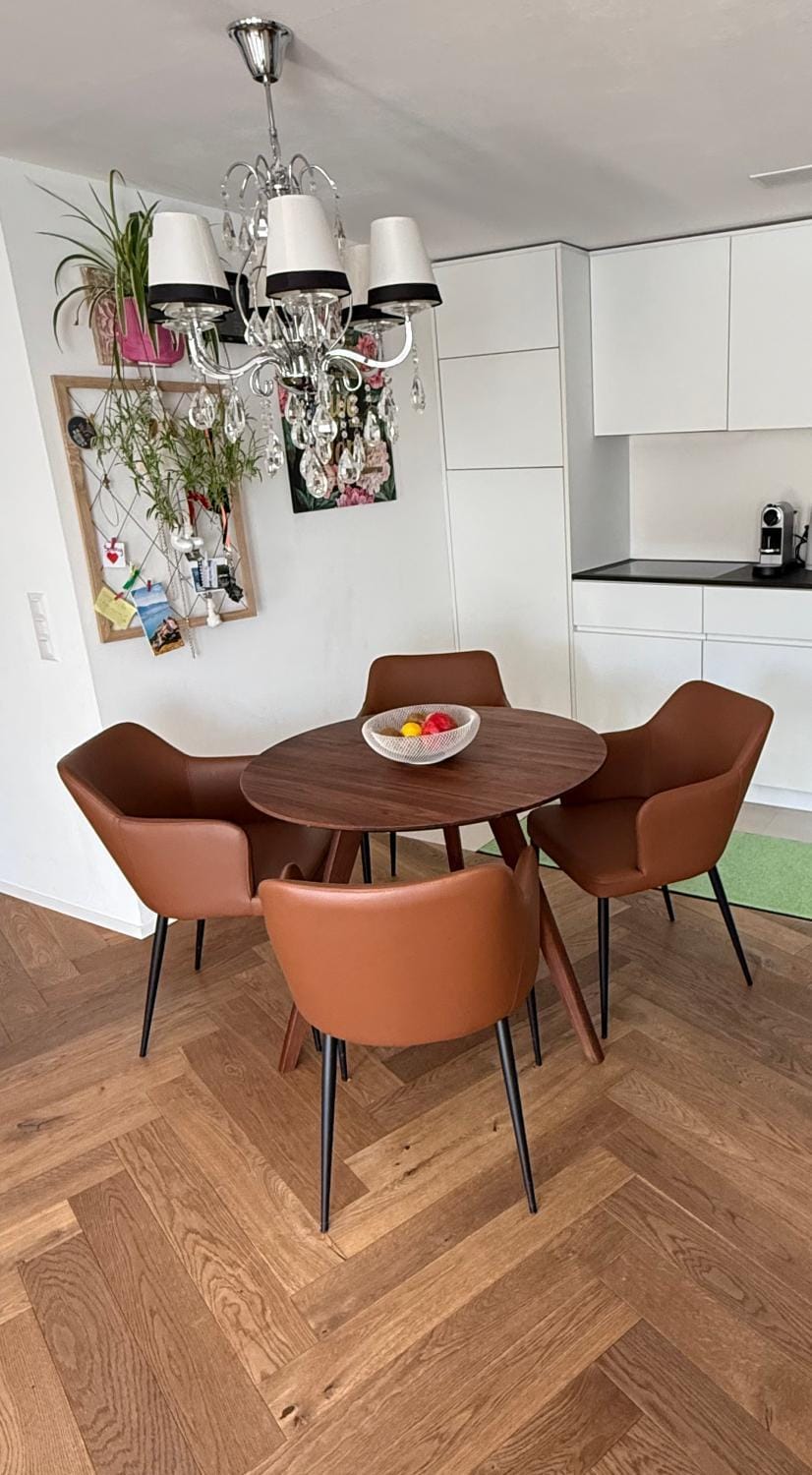 Emma Apartment in Canton of Bern (Region)