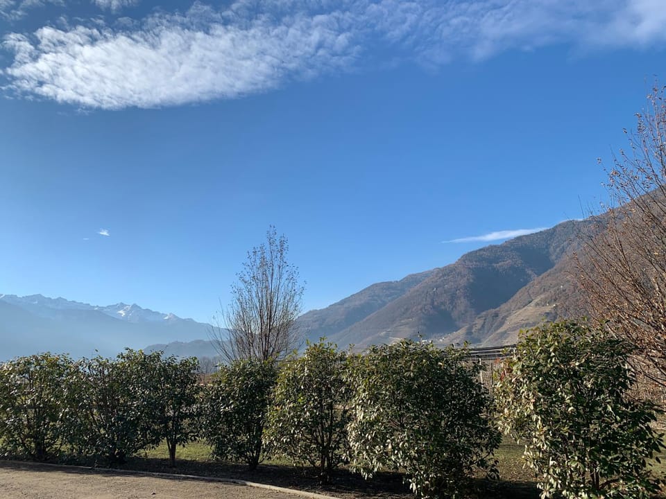 Natural landscape, Garden, Mountain view