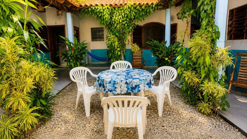 Patio, Garden, Garden view, Dinner