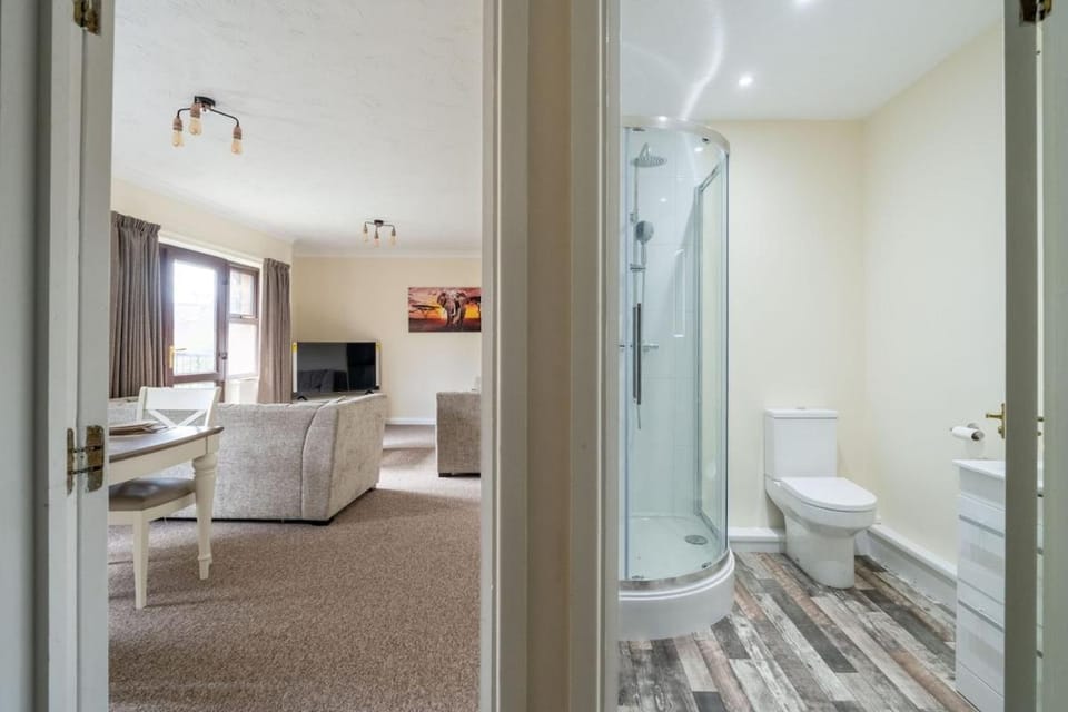 Shower, Toilet, TV and multimedia, towels