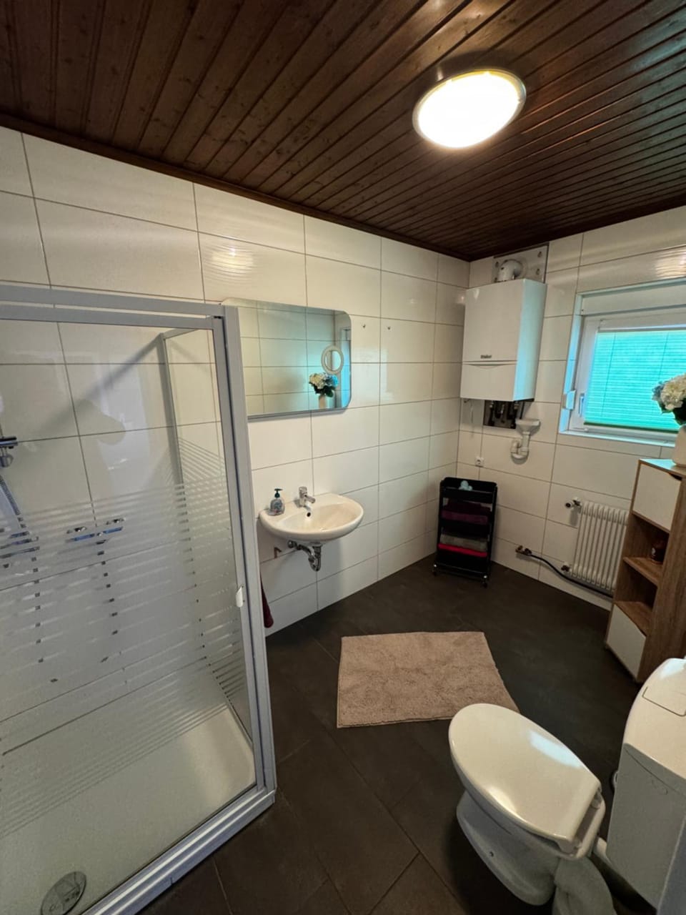 Shower, Toilet, Bathroom, towels