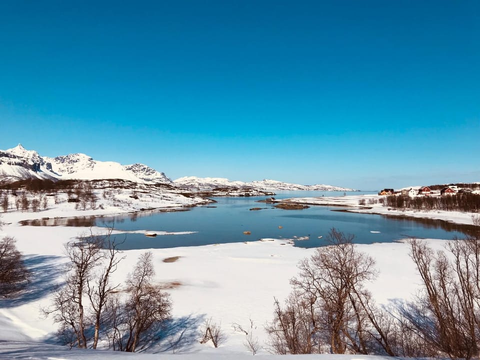 Lake view