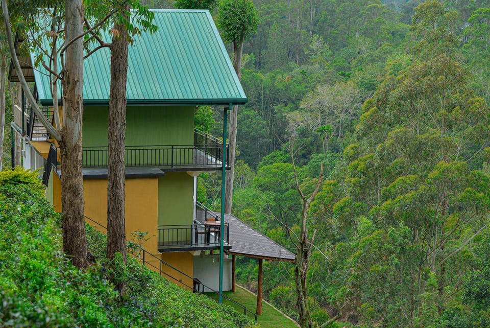 Property building, Natural landscape, Garden, Garden view