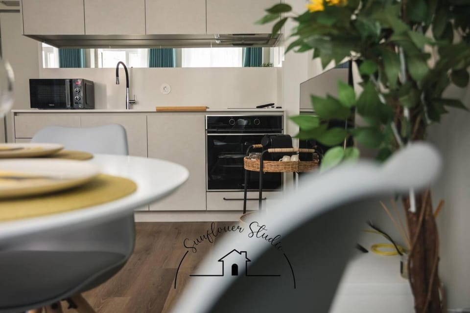 Kitchen or kitchenette, dishwasher, stove