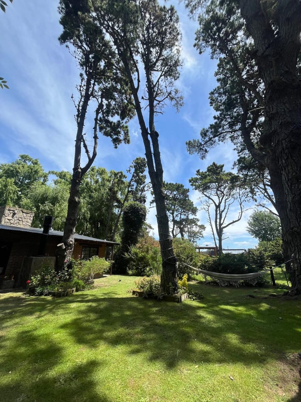 Casa en el bosque de Costa del Este House in Costa del Este