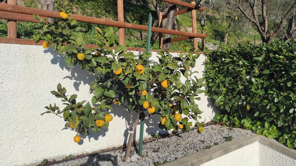 Villino Isabella House in Liguria
