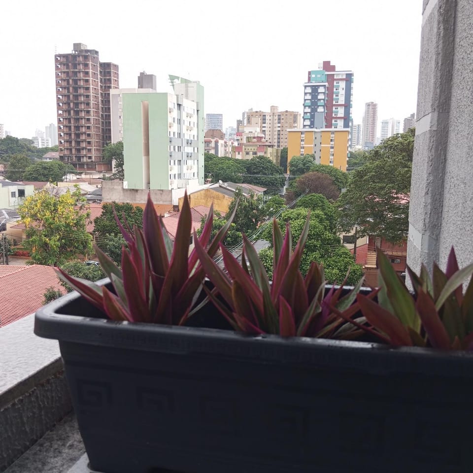 Property building, Balcony/Terrace, City view