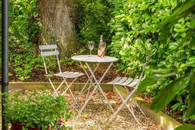 Day, Natural landscape, Garden, Garden view