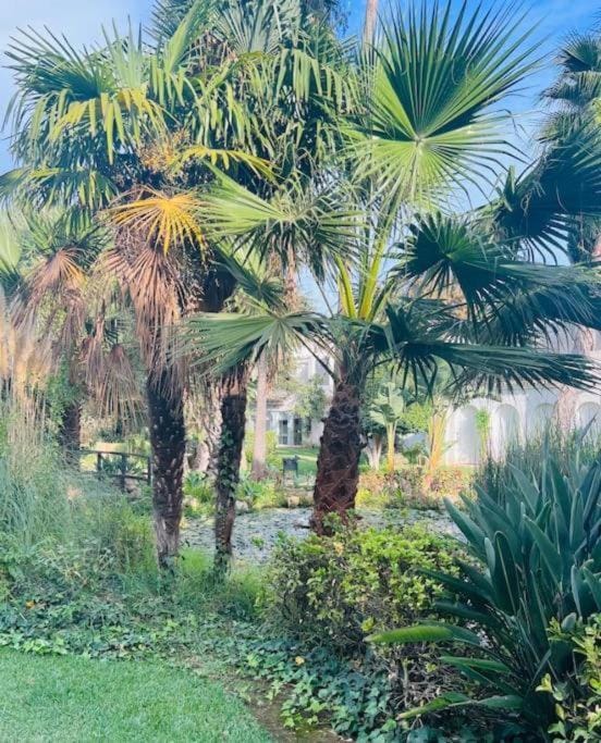 Day, Natural landscape, Garden, Garden view