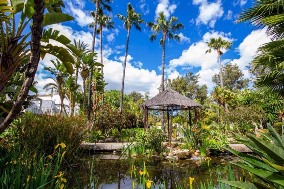 Day, Natural landscape, Garden