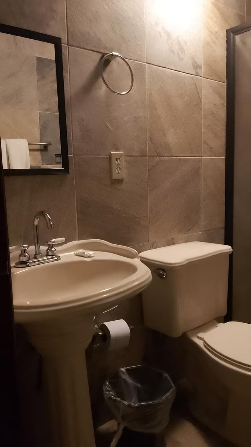 Shower, Toilet, Bathroom, bidet