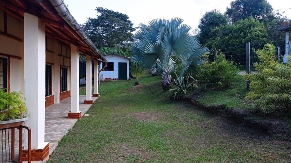 Garden, Garden