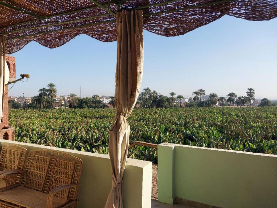 Natural landscape, Horse-riding, Balcony/Terrace