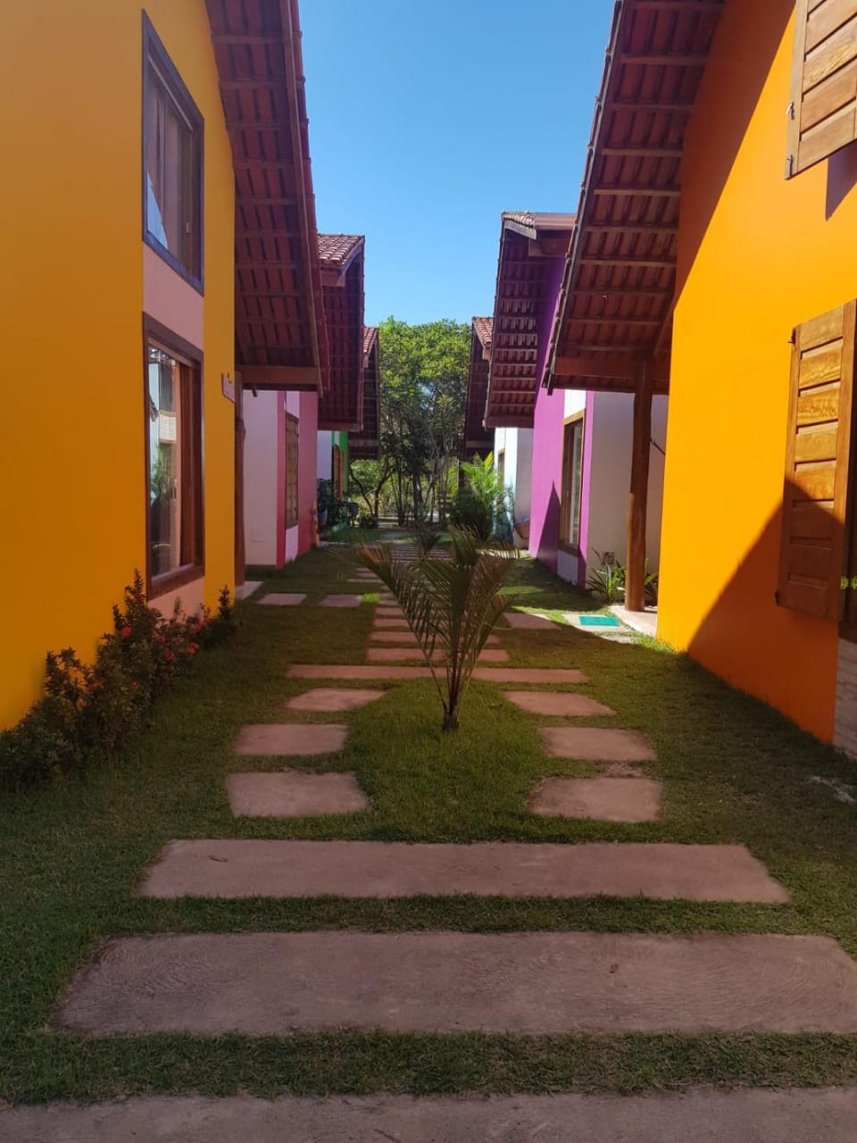 Garden, Street view