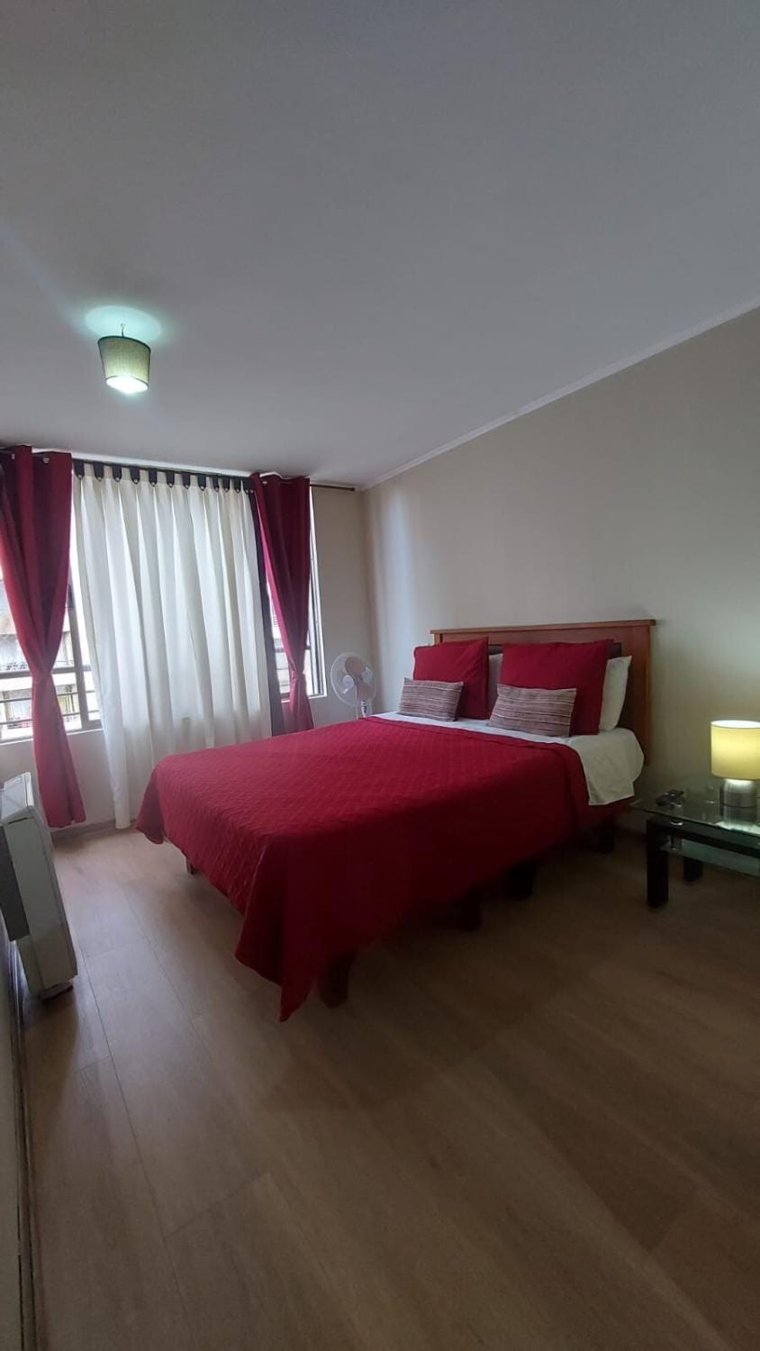 Lindo departamento hasta 6 personas, estacionamiento Apartment in Santiago