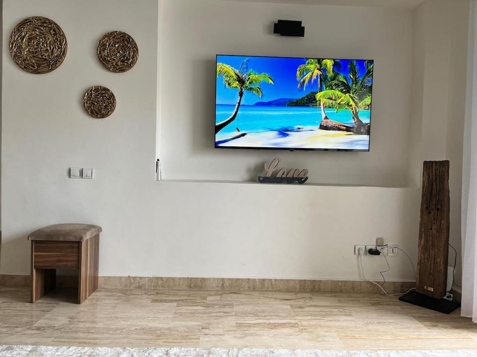 TV and multimedia