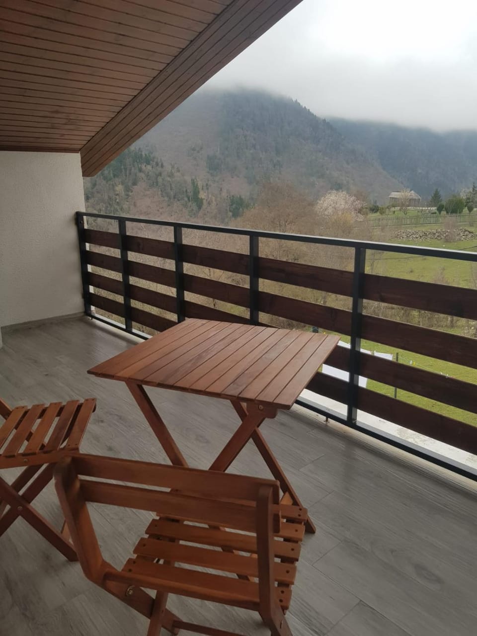 Garden, Balcony/Terrace
