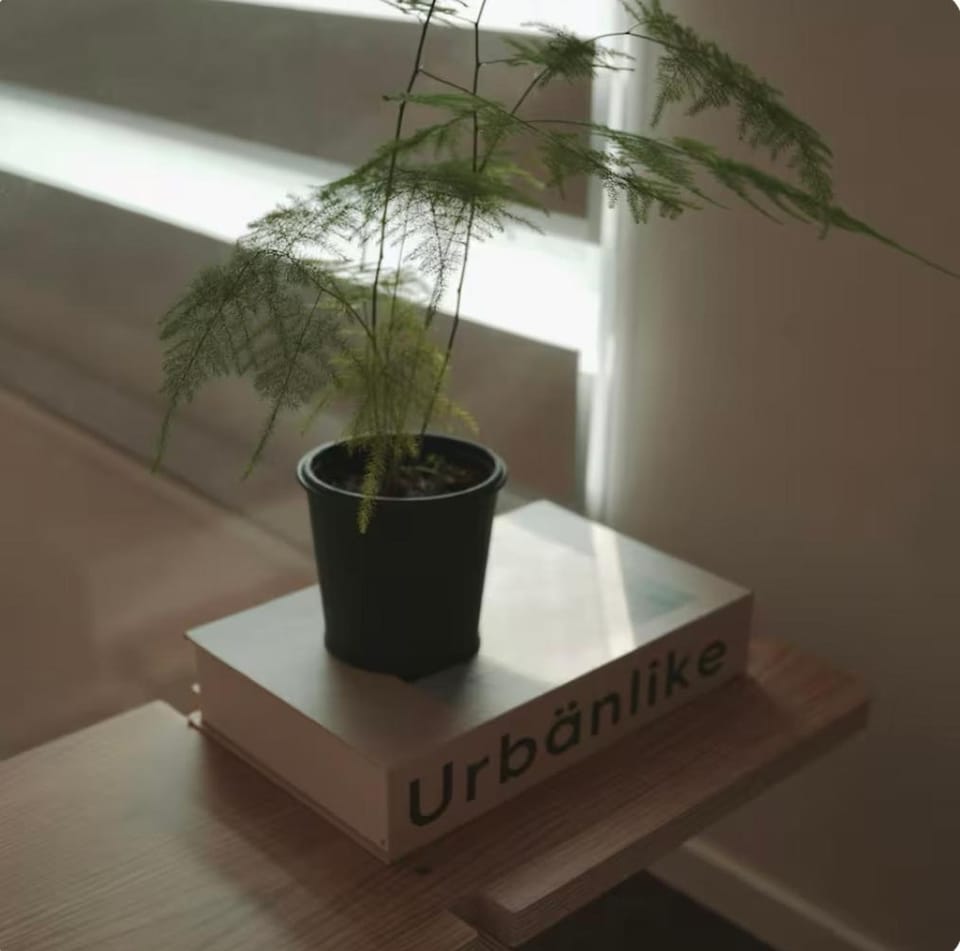 Seongsu 10 minutes, K-Architectural Designers' Unique House Apartment in Seoul