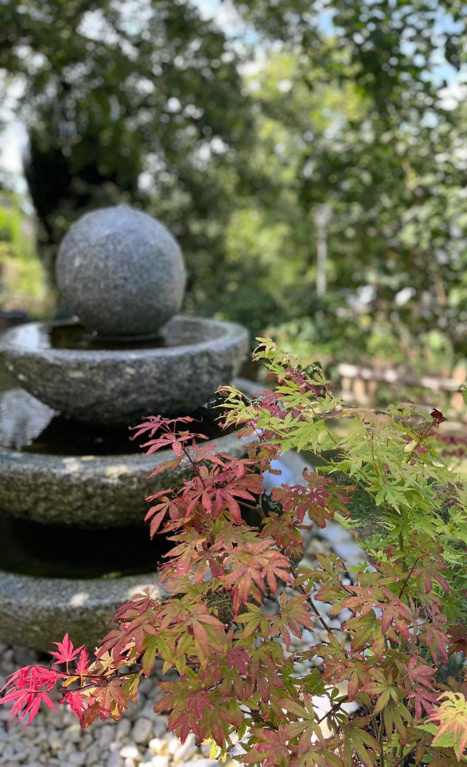 Garden, Garden view