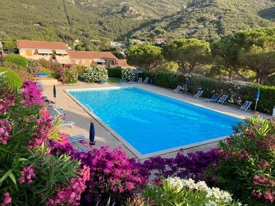 Natural landscape, Garden view, Mountain view, Pool view, Swimming pool, sunbed