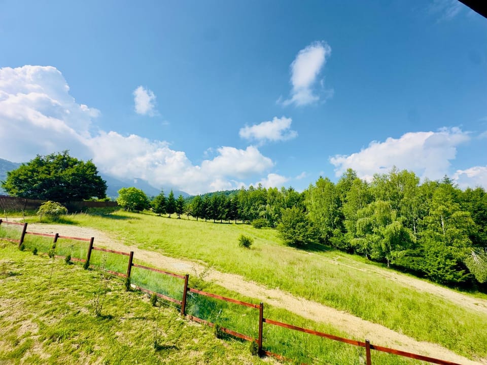 Natural landscape, View (from property/room)