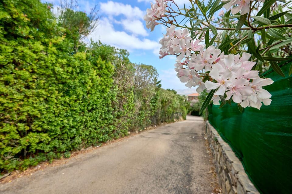 Spring, Garden, Garden view