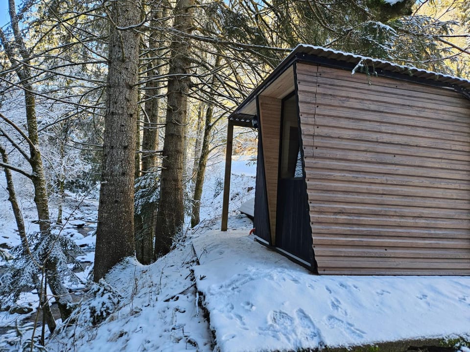 Day, Winter, Sauna