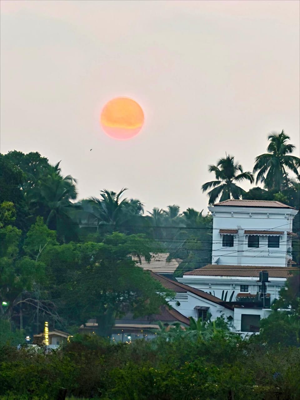 Natural landscape, Sunrise