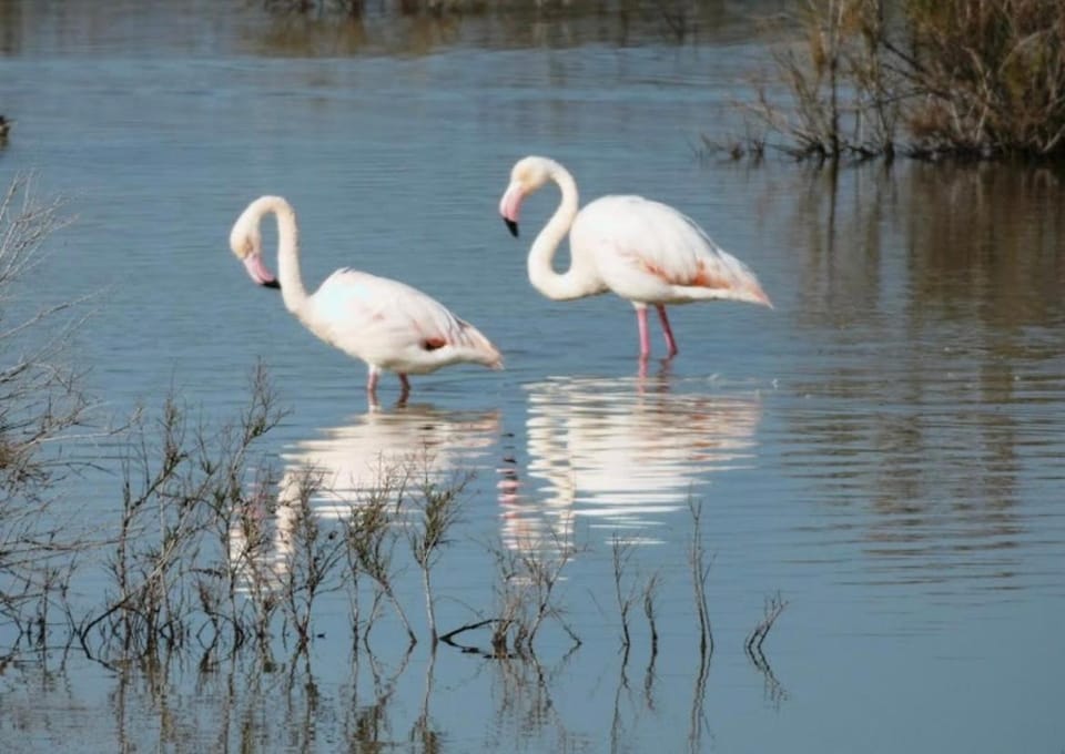 Natural landscape