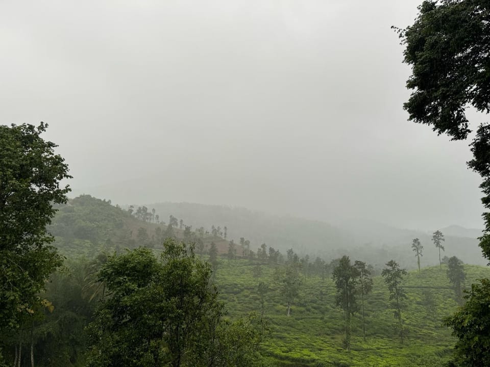 Mountain view