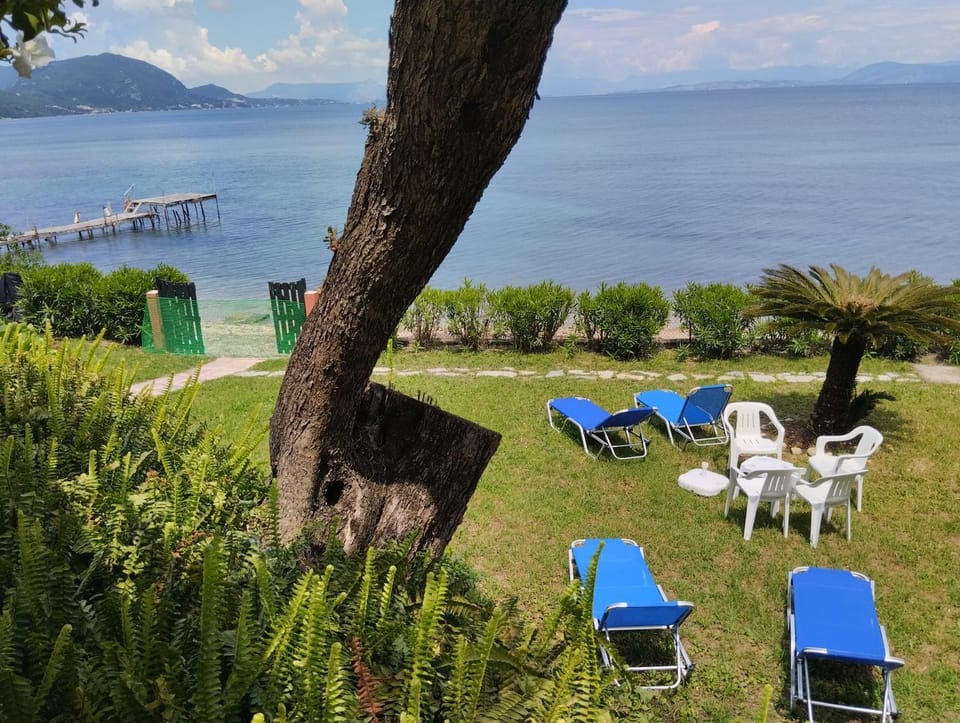 Natural landscape, Garden, Sea view, sunbed