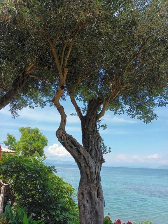 Natural landscape, Beach
